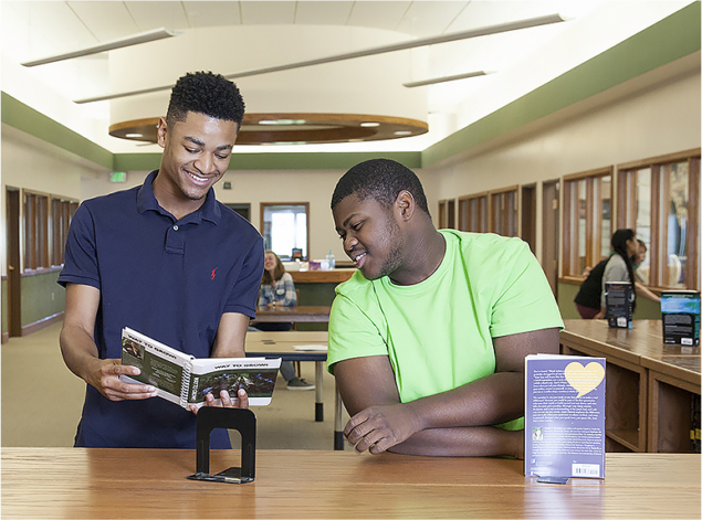 Library
